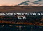 蘑菇视频官网为什么会在关键时候被想起来