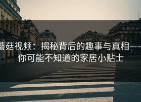 蘑菇视频：揭秘背后的趣事与真相——你可能不知道的家居小贴士