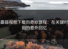 蘑菇视频下载的奇妙旅程：在关键时刻的意外回忆