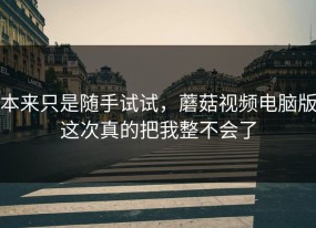 本来只是随手试试，蘑菇视频电脑版这次真的把我整不会了