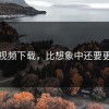 蘑菇视频下载，比想象中还要更上头