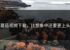 蘑菇视频下载，比想象中还要更上头