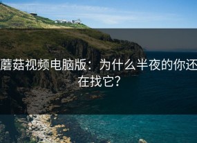 蘑菇视频电脑版：为什么半夜的你还在找它？