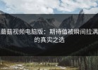 蘑菇视频电脑版：期待值被瞬间拉满的真实之选