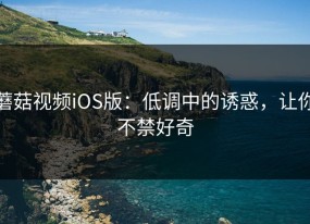 蘑菇视频iOS版：低调中的诱惑，让你不禁好奇