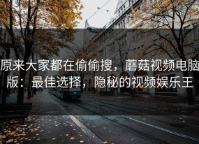 原来大家都在偷偷搜，蘑菇视频电脑版：最佳选择，隐秘的视频娱乐王