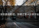 发现蘑菇影视，惊艳之旅从这里开始