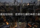 蘑菇短视频：低调却引爆的神奇力量