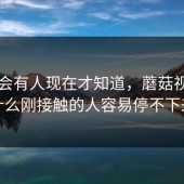 真的会有人现在才知道，蘑菇视频为什么刚接触的人容易停不下来