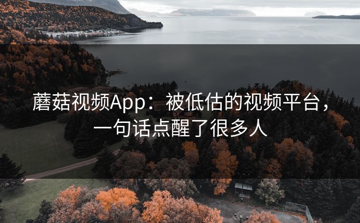蘑菇视频App：被低估的视频平台，一句话点醒了很多人