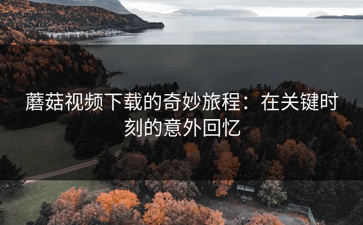 蘑菇视频下载的奇妙旅程：在关键时刻的意外回忆