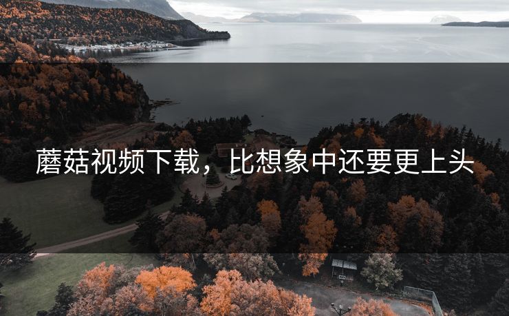 蘑菇视频下载，比想象中还要更上头