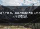 用了才知道，蘑菇视频iOS为什么总有人半夜还在找