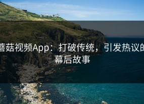 蘑菇视频App：打破传统，引发热议的幕后故事