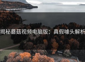 揭秘蘑菇视频电脑版：真假噱头解析