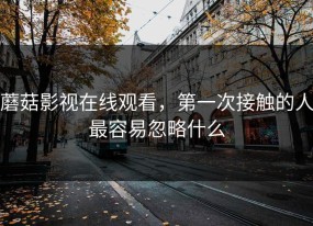 蘑菇影视在线观看，第一次接触的人最容易忽略什么