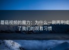 蘑菇视频的魔力：为什么一刷再刷成了我们的观看习惯