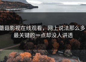 蘑菇影视在线观看，网上说法那么多，最关键的一点却没人讲透