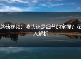 蘑菇视频：噱头还是细节的拿捏？深入解析
