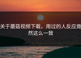 关于蘑菇视频下载，用过的人反应竟然这么一致