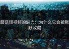 蘑菇短视频的魅力：为什么它会被默默收藏