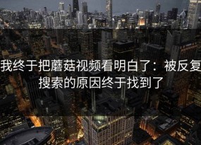 我终于把蘑菇视频看明白了：被反复搜索的原因终于找到了
