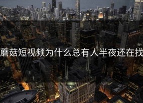 蘑菇短视频为什么总有人半夜还在找