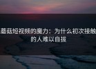 蘑菇短视频的魔力：为什么初次接触的人难以自拔