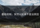 蘑菇视频，突然火起来不是没原因