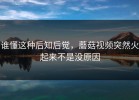 谁懂这种后知后觉，蘑菇视频突然火起来不是没原因