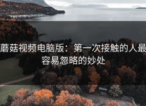 蘑菇视频电脑版：第一次接触的人最容易忽略的妙处