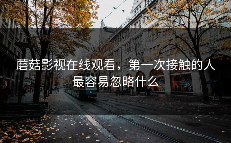 蘑菇影视在线观看,第一次接触的人最容易忽略什么 蘑菇影视在线观看,第一次接触的人最容易忽略什么