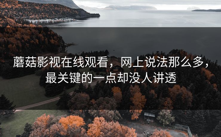 蘑菇影视在线观看,网上说法那么多,最关键的一点却没人讲透 蘑菇影视在线观看,网上说法那么多,最关键的一点却没人讲透