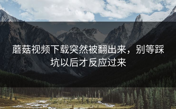 蘑菇视频下载突然被翻出来，别等踩坑以后才反应过来